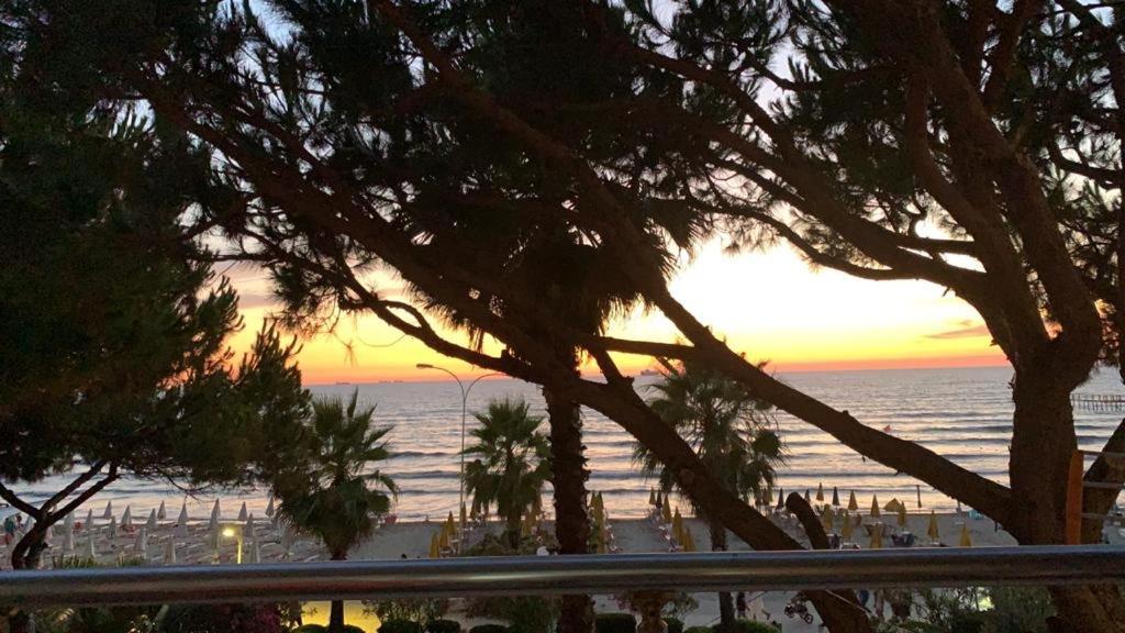 Apartment Mali I Robit Beachfront *