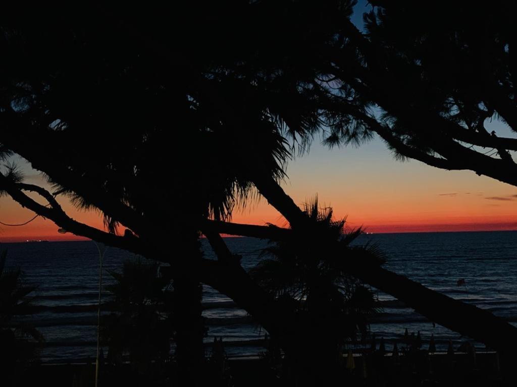 Apartment Mali I Robit Beachfront *